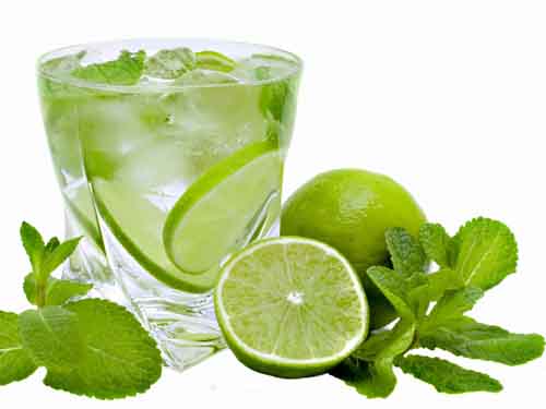 mojito, limes and mint isolated on a white background