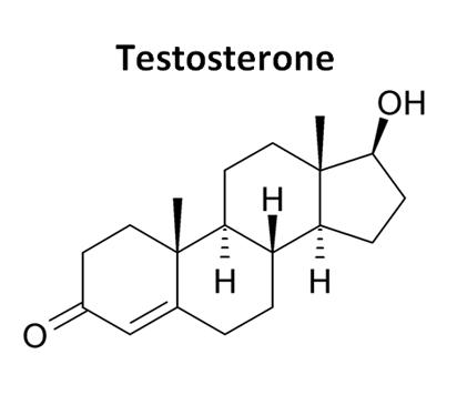 phu-nu-cung-can-bo-sung-testosterone-1_261118756